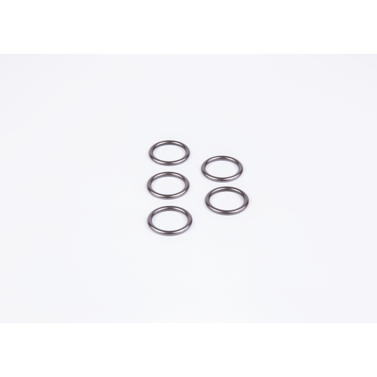 2 430 210 081 - Rubber Ring 