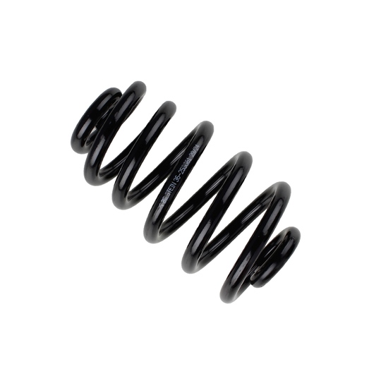 36-253661 - Coil Spring 