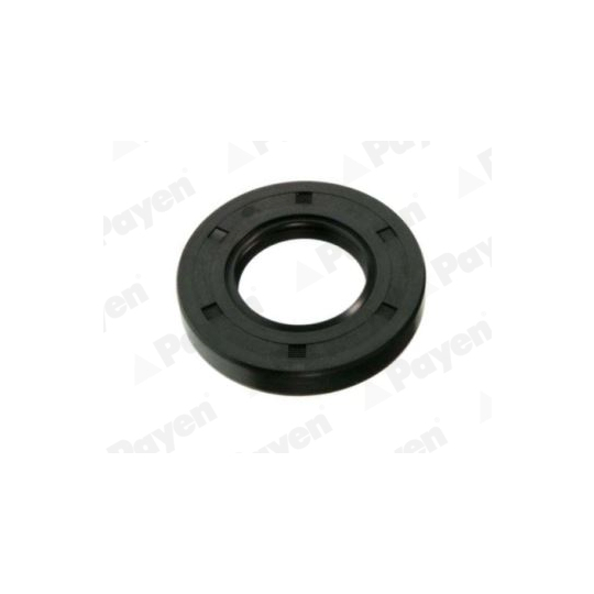 NJ441 - Shaft Seal, differential 