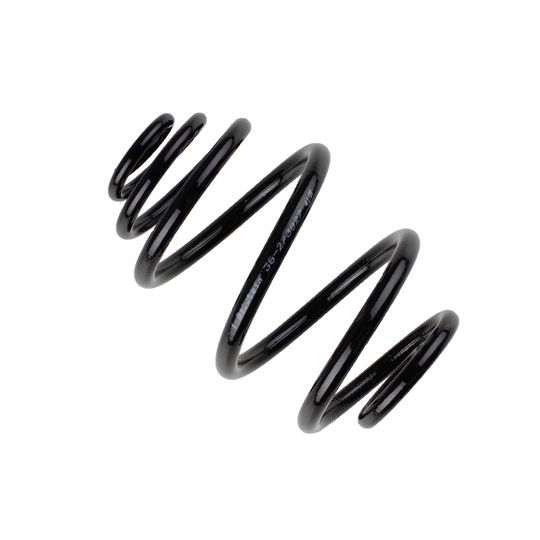 38-273827 - Coil Spring 