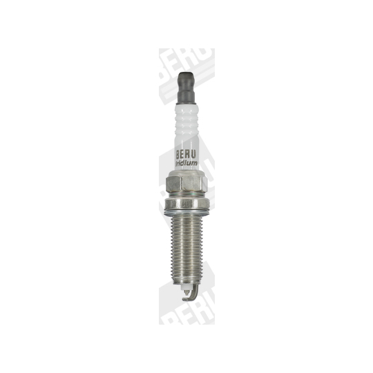 Z379 - Spark Plug 