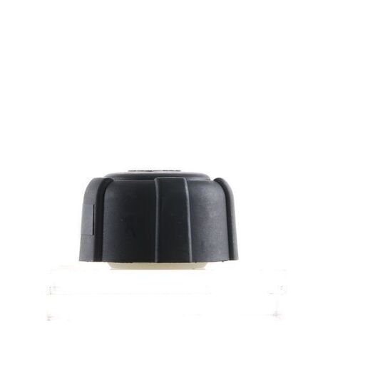 CRB 103 000S - Cap, coolant tank 