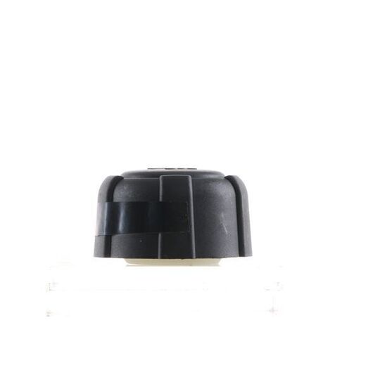 CRB 103 000S - Cap, coolant tank 