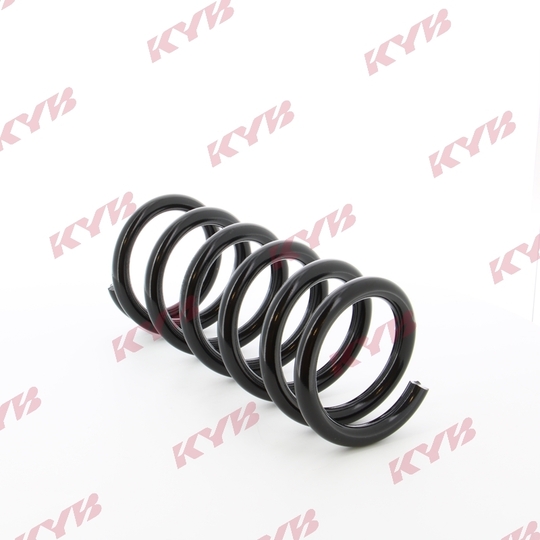 RG5006 - Coil Spring 