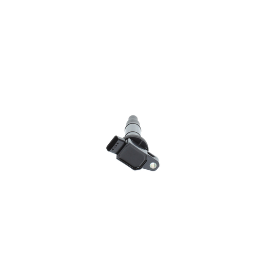 0 986 AG0 506 - Ignition coil 