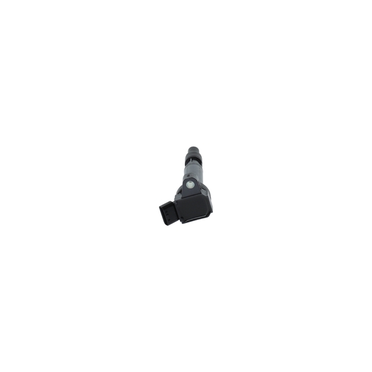 0 986 AG0 509 - Ignition coil 