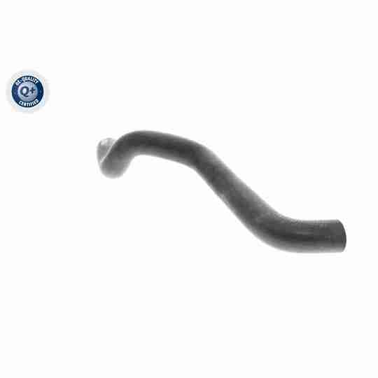 V24-1075 - Radiator Hose 