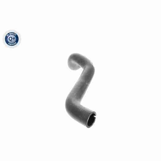 V24-1075 - Radiator Hose 