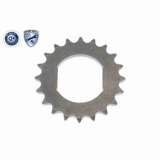 V40-10003 - Timing Chain Kit 