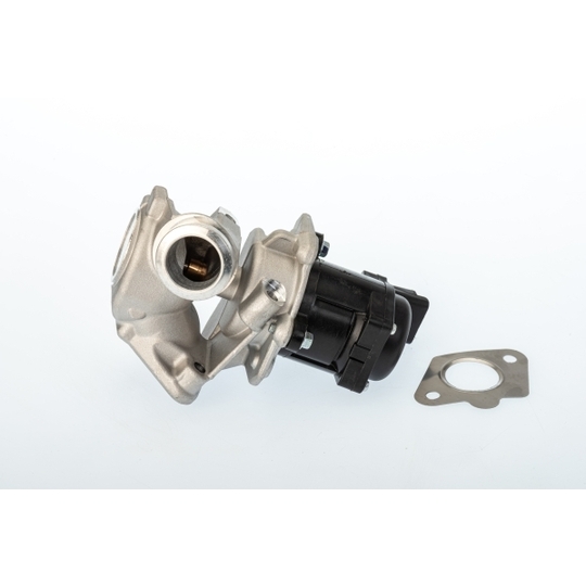 711020D/1 - EGR Valve 