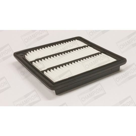 CAF101072P - Air filter 