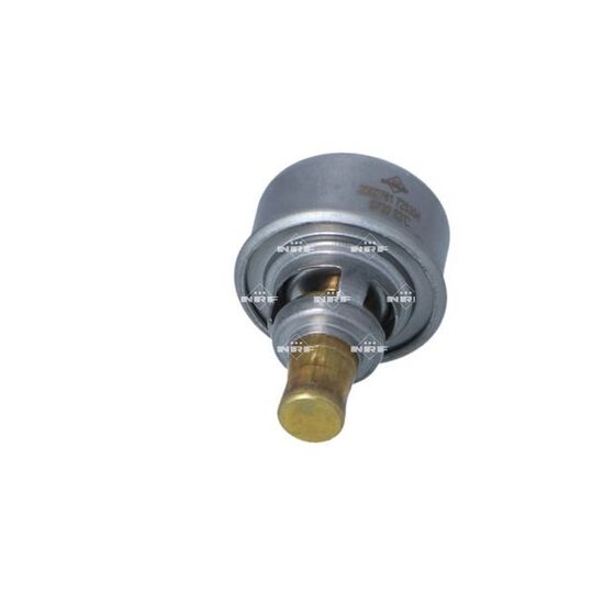 725304 - Thermostat, coolant 