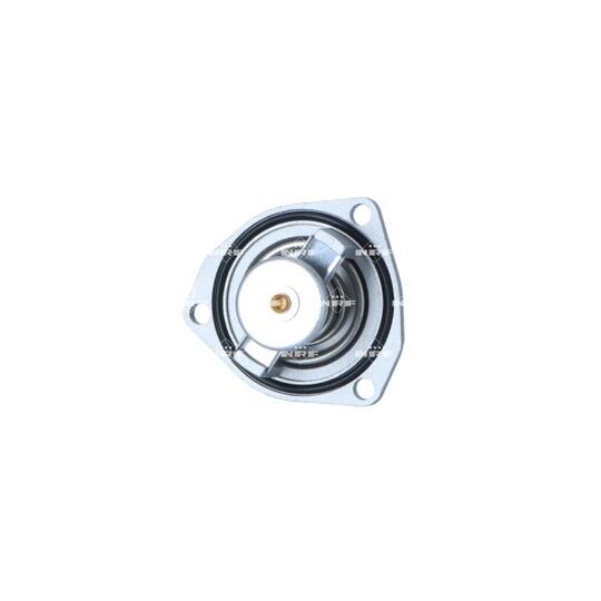 725296 - Thermostat, coolant 