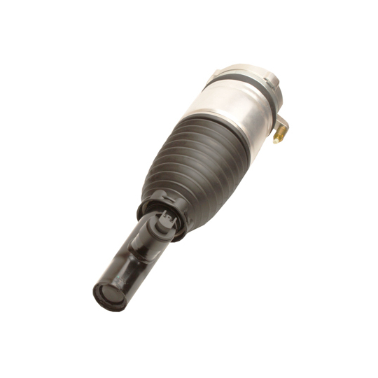 11-1231 - Air Spring Strut 