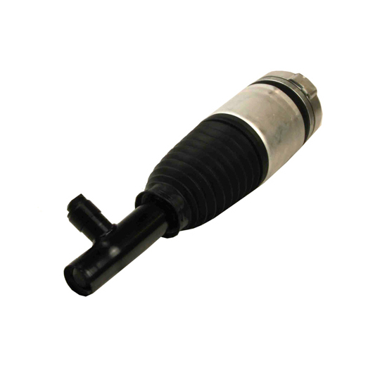 11-1230 - Air Spring Strut 