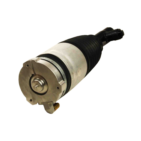 11-1230 - Air Spring Strut 