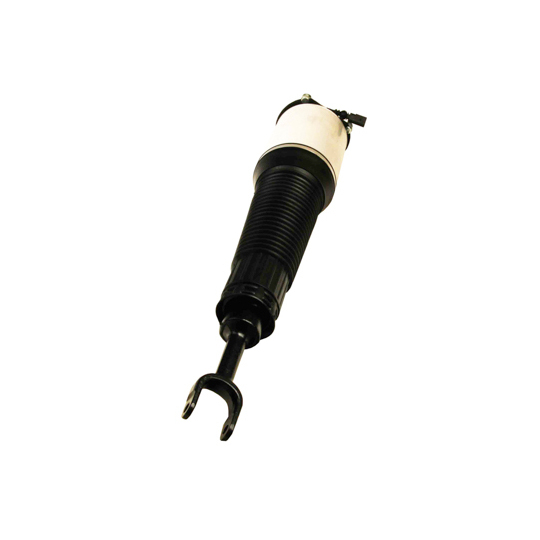 11-0778 - Air Spring Strut 