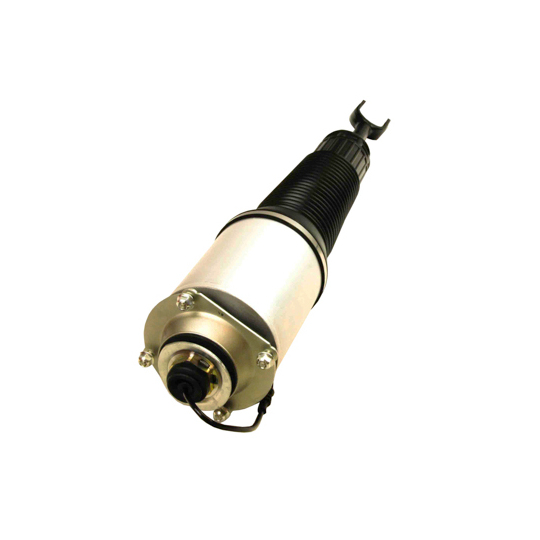 11-0779 - Air Spring Strut 