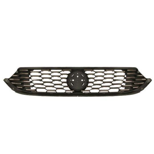 6502-07-2030991P - Radiator Grille 