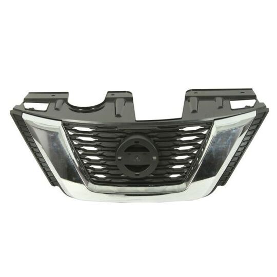 6502-07-1683991P - Radiator Grille 