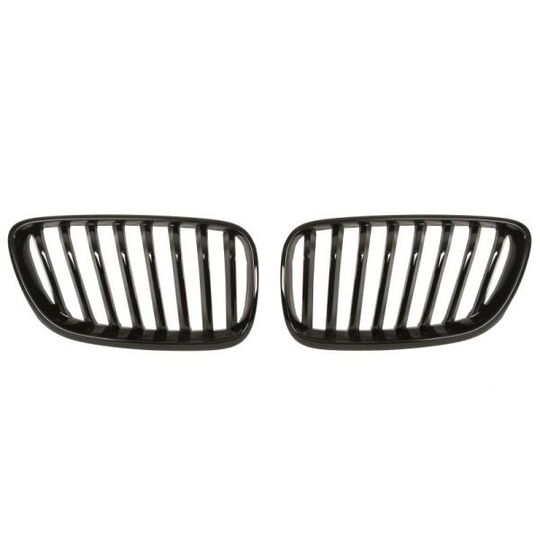 6502-07-0069993P - Radiator Grille 