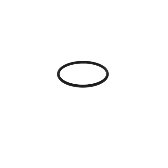 2 700 210 061 - Rubber Ring 