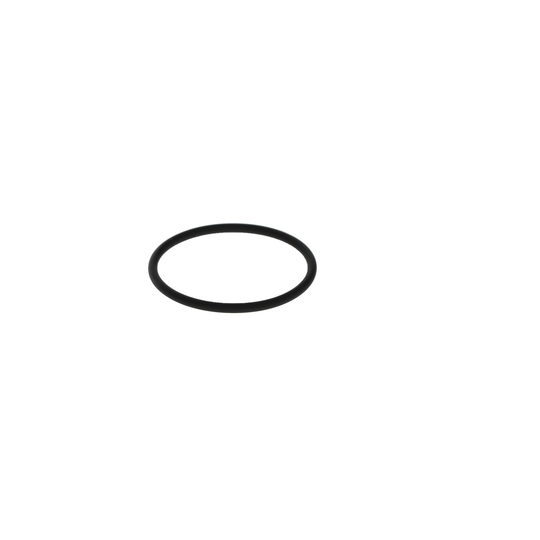 2 700 210 061 - Rubber Ring 