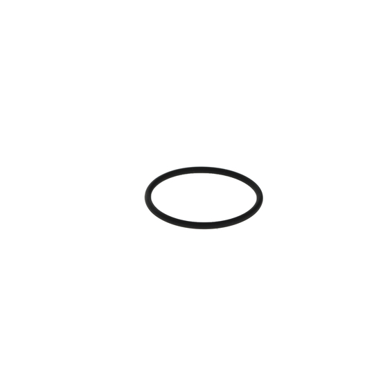 2 700 210 061 - Rubber Ring 