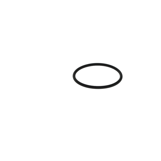 2 700 210 061 - Rubber Ring 