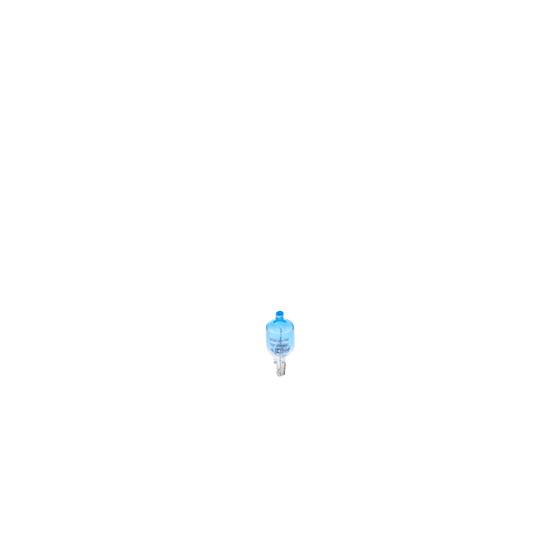 1 987 301 098 - Bulb 