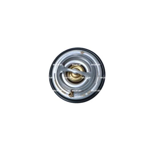 725315 - Thermostat, coolant 