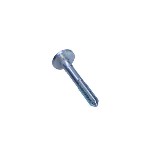 49-5349 - Camber Correction Screw 