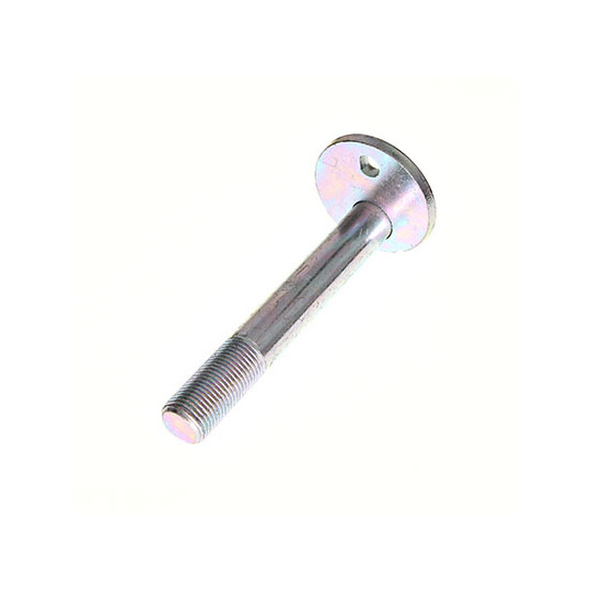 49-5428 - Camber Correction Screw 