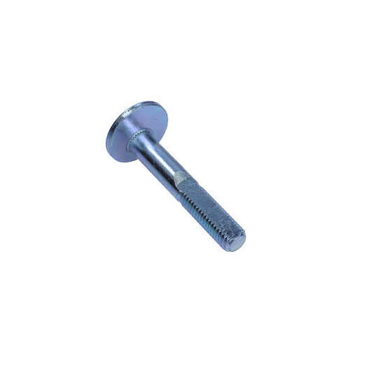 49-5418 - Camber Correction Screw 