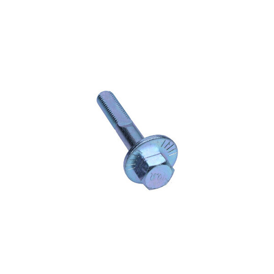 49-5418 - Camber Correction Screw 