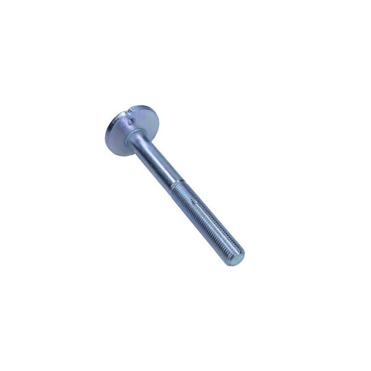 49-5325 - Camber Correction Screw 