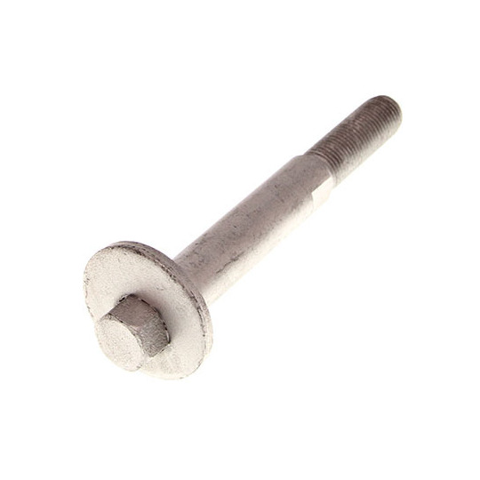 49-5314 - Camber Correction Screw 