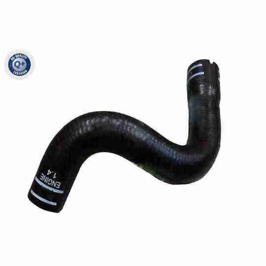 V24-1277 - Radiator Hose 