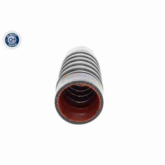 V25-2016 - Charger Air Hose 