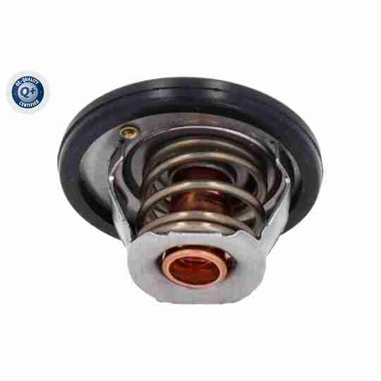 V25-99-0006 - Thermostat, coolant 