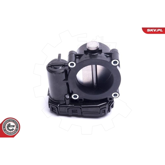 12SKV120 - Throttle body 