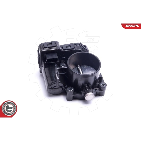 12SKV120 - Throttle body 