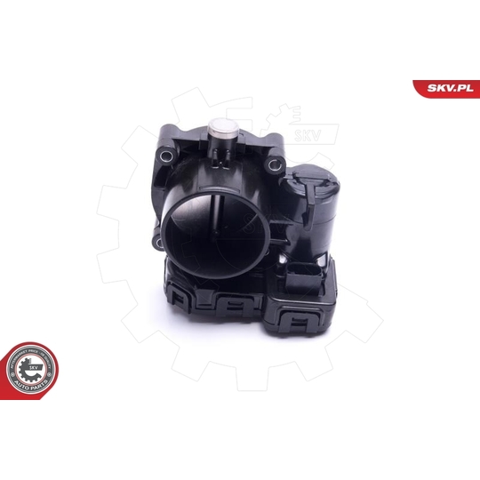 12SKV120 - Throttle body 