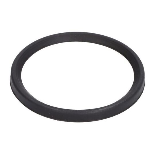 DCC079TT - Seal Ring, turbo air hose 