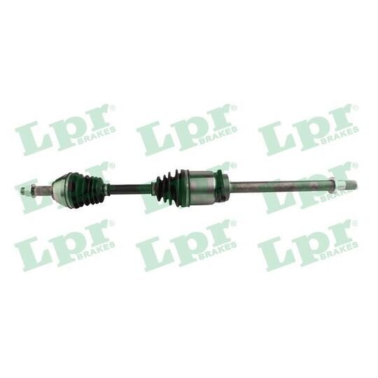 DS61213 - Drive Shaft 