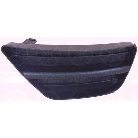 2532916 - Cover, bumper 