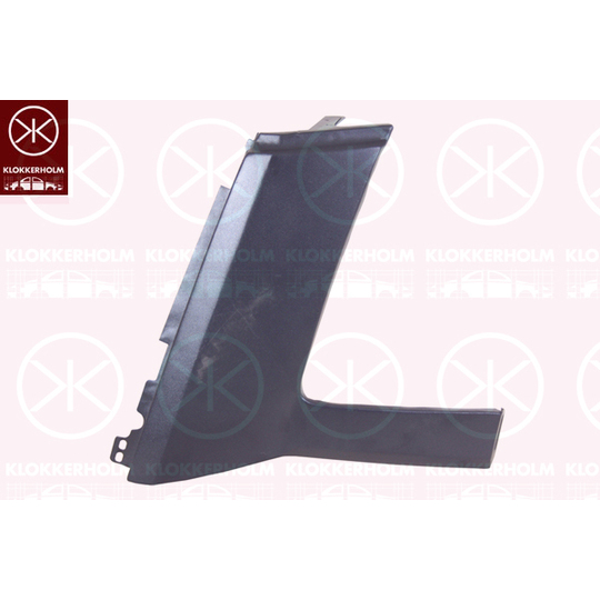 9564215 - Headlight Trim 