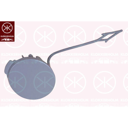 9549919A1 - Flap, tow hook 