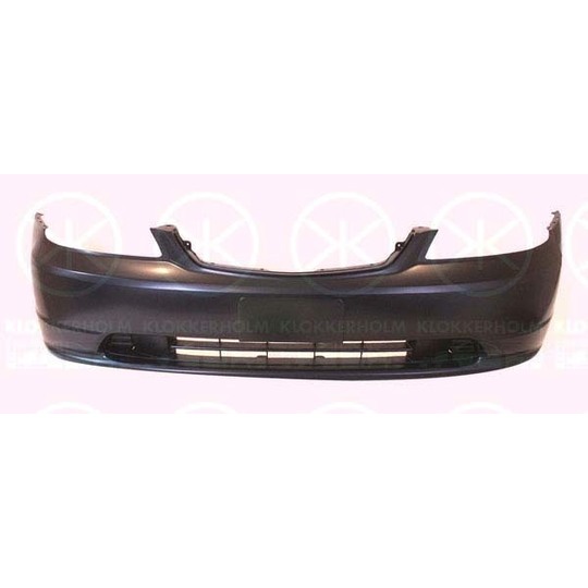 2938900 - Bumper 