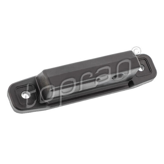 620 032 - Tailgate Handle 